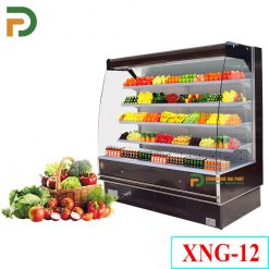 Tủ Mát Trưng Bày Cao Cấp XNG-12(TPĐP-340)