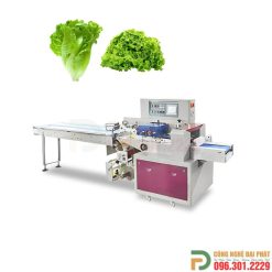 Máy đóng gói rau củ tự động (ĐGĐP-P46)